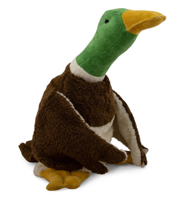 Ente
