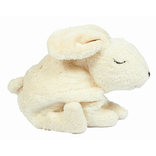 Hase
