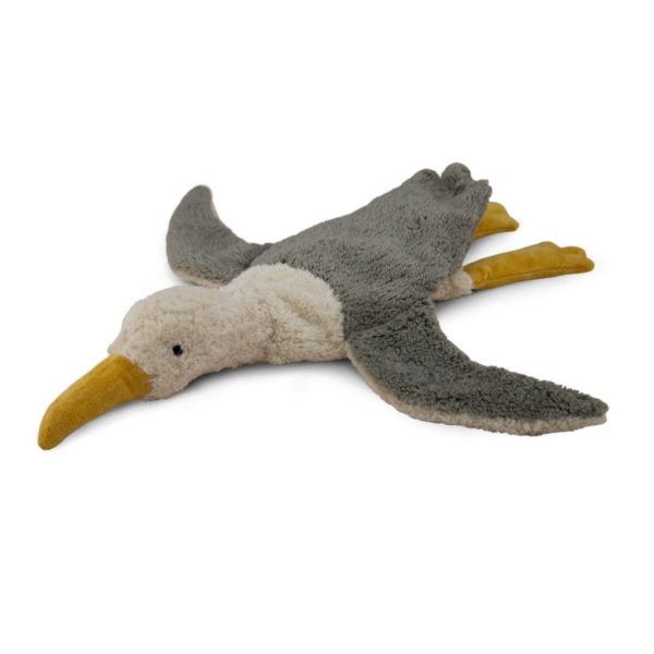 Möwe