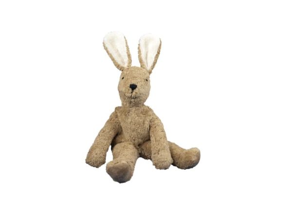 Hase