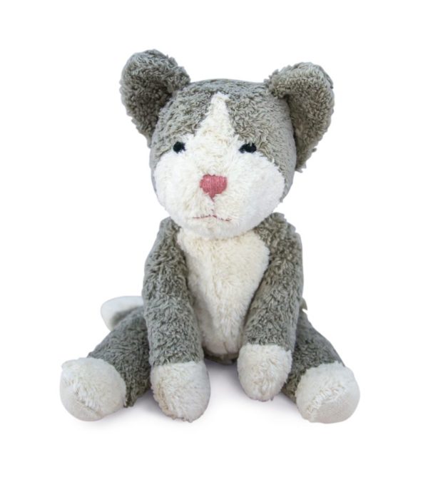 Katze