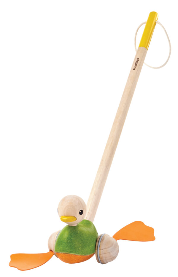 Schiebe-Ente